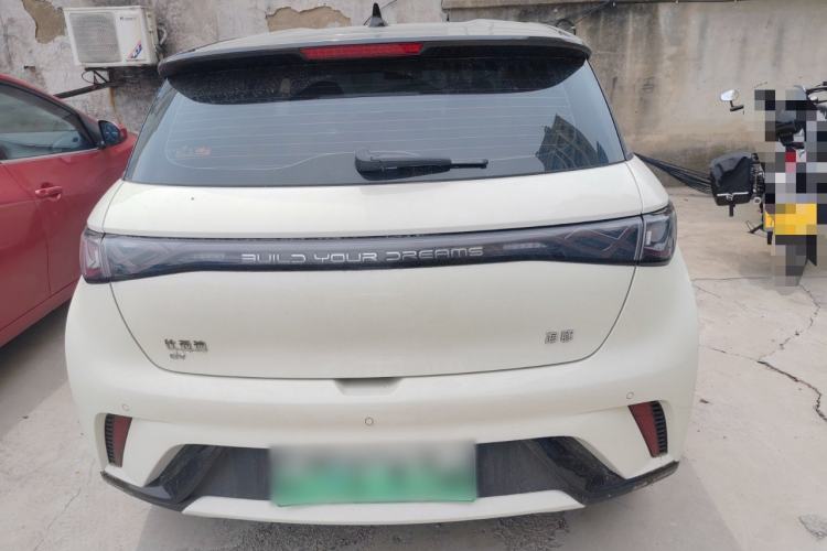 Used BYD Dolphin 2024 Honor Edition 420km Freedom Version Rear