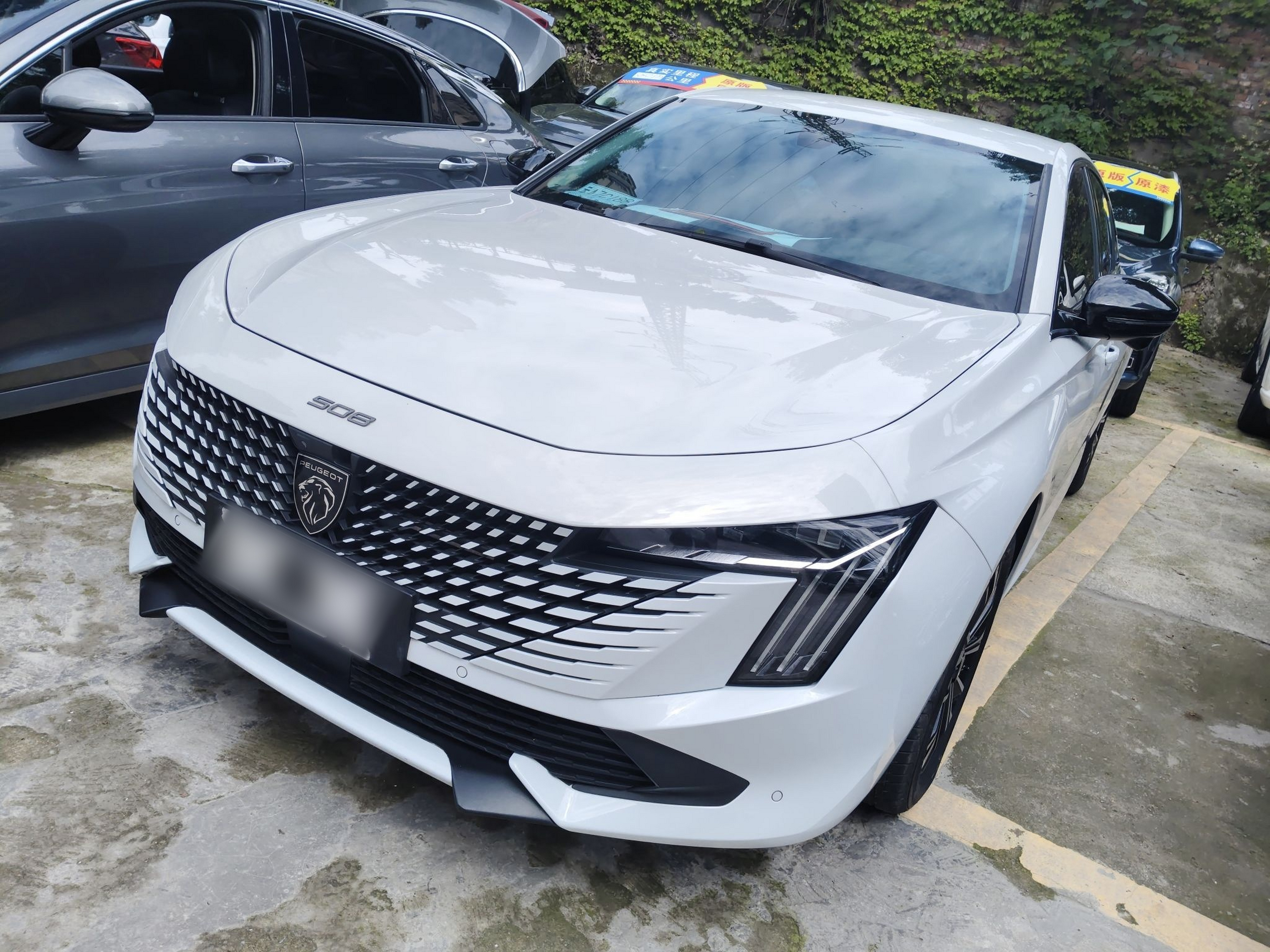 Under Front Bumper