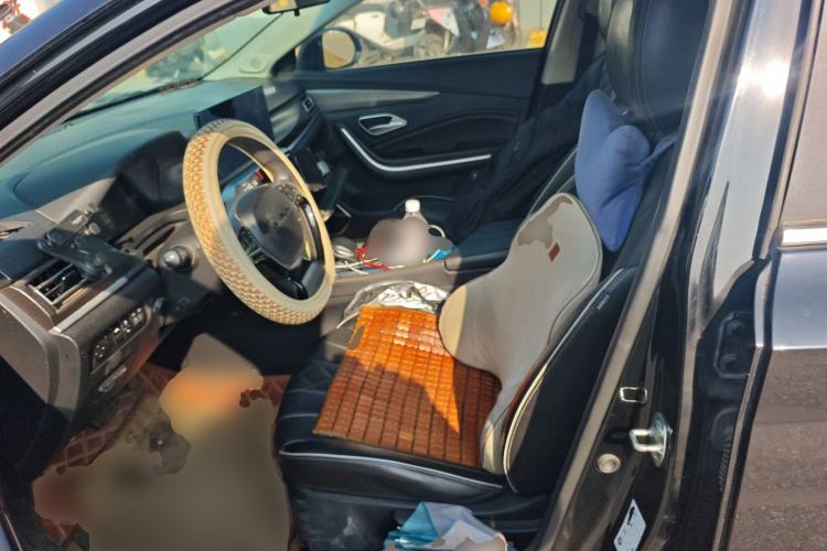 Used BAIC Beijing EU7 2019 Yifeng Edition Left Front Seat