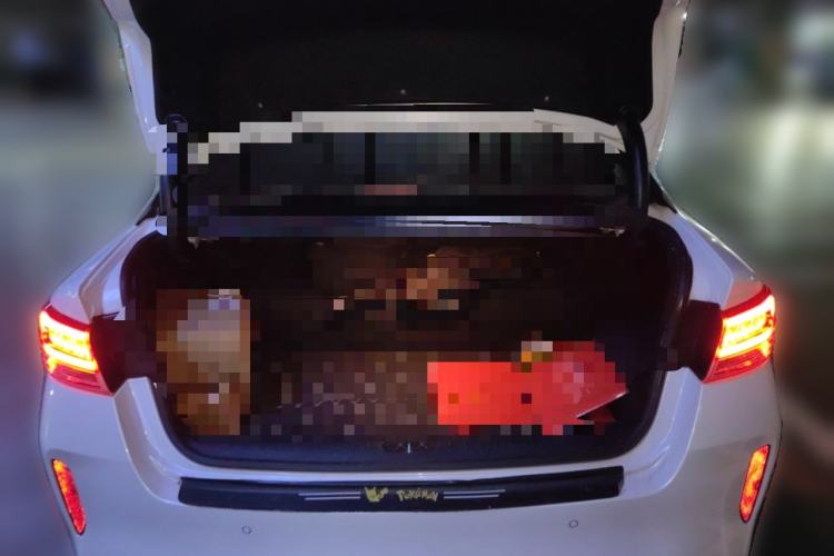 Used Kia K5 New Energy 2018 2.0L ZhiZun Edition Trunk