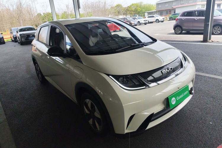 Used BYD Dolphin 2025 420km Free Edition

