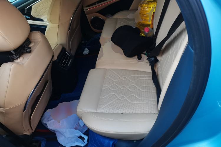 Used VOYAH FREE 2021 Four-Wheel Drive Standard Range-Extended Exclusive Luxury Package Left Rear Seat