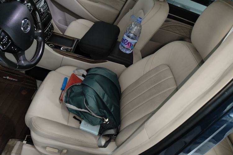 Used GAC Trumpchi M8 2018 320T Luxury Edition
