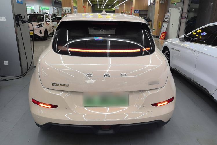 Used ORA Good Cat 2023 401 km Standard Range Premium Version Lithium Iron Phosphate Exterior 4