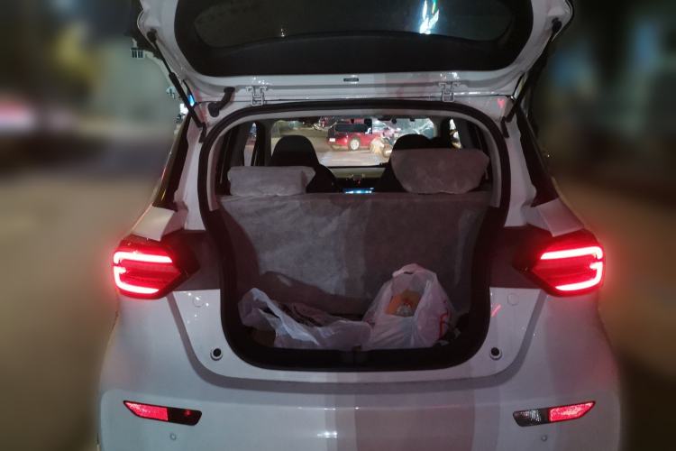 Used Leapmotor T03 2021 400 Lite Edition - Lithium-Ion Battery