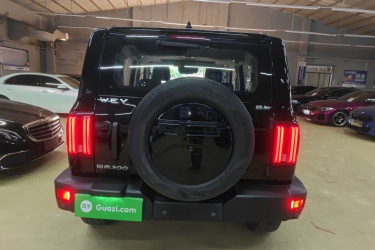 Used Tank 300 2021 Off-Road Edition 2.0T Challenger Rear