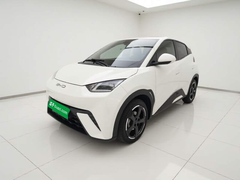 Used BYD Seagull 2024 Honor Edition 305km Freedom Version — 1
