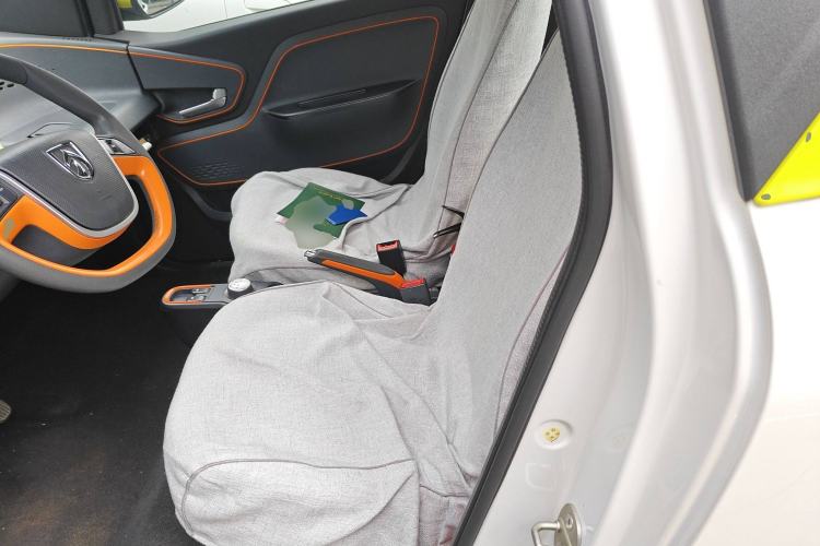 Used Baojun E100 2019 250KM Smart Drive Edition Left Rear Seat