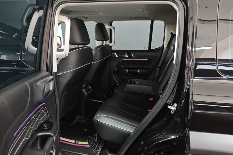 Used Tank 300 2024 2.0T Conqueror Left Rear Seat