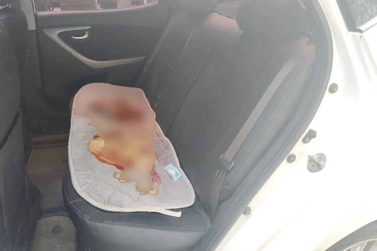 Used Hyundai Elantra (5th Generation / Langdong) 2016 1.6L Manual Luxury Model
