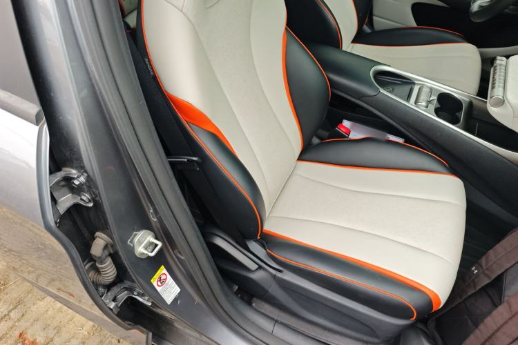 Used BYD Dolphin 2021 405 km Fashion Edition Right Front Seat