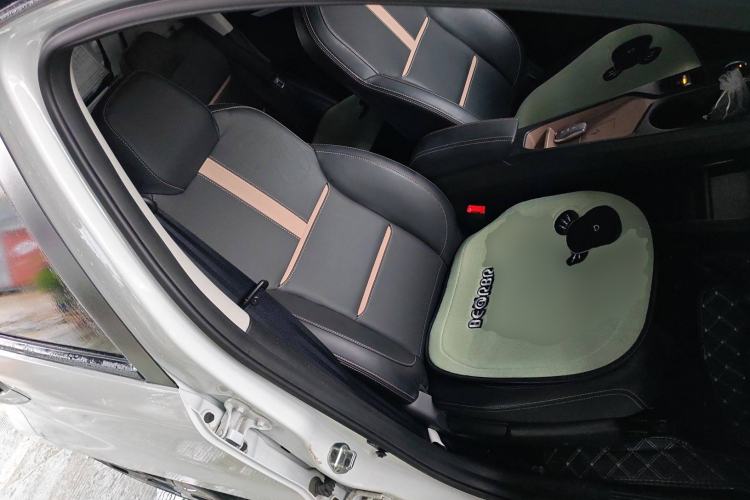 Used SOL E10X 2022 Flower Fairy Design Dandelion