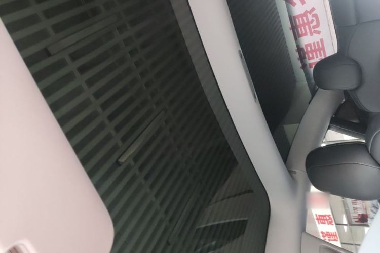 Used Tesla Model 3 2022 Performance High-Performance All-Wheel-Drive Version Headliner