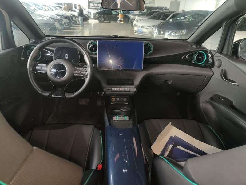Used BYD Dolphin 2024 Honor Edition 420km Freedom Version — 9