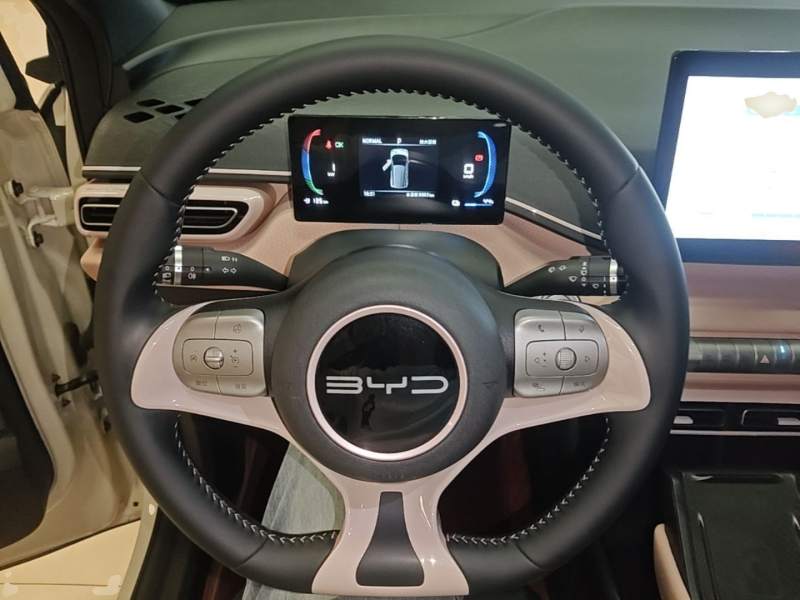 Used BYD Seagull 2023 Free Edition — 10