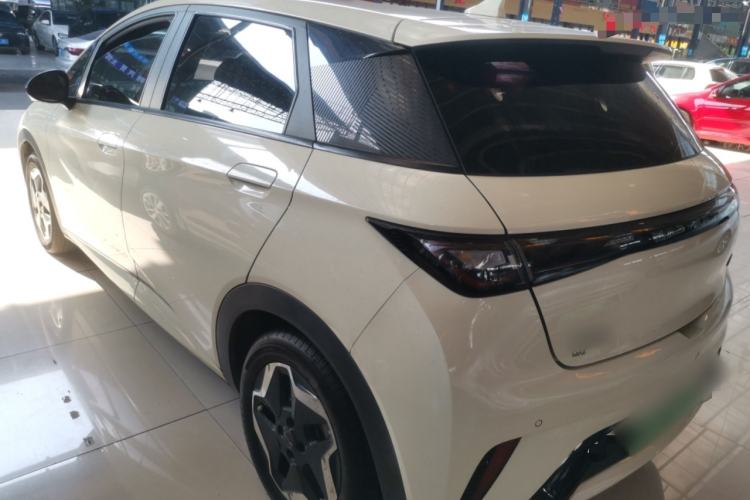 Used BYD Dolphin 2021 405 km Free Version