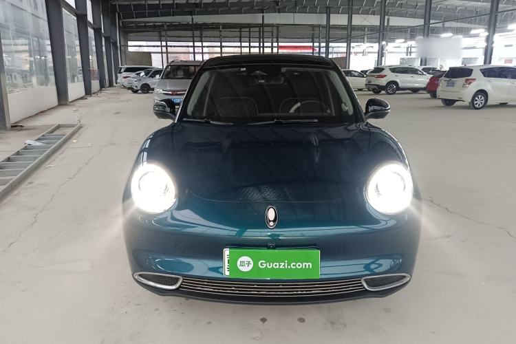 Used ORA Good Cat 2022 Morandi Edition 400km Standard Range Premium Version Lithium-Ion Battery