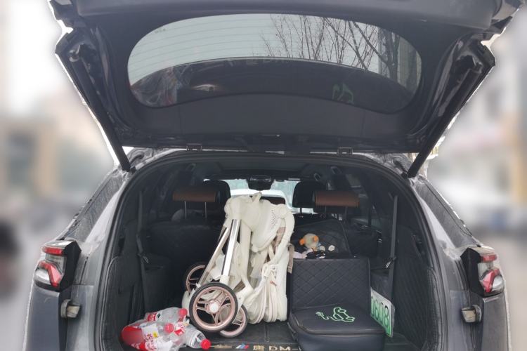 Used BYD Tang New Energy 2021 DM-i 112KM Prestige Model