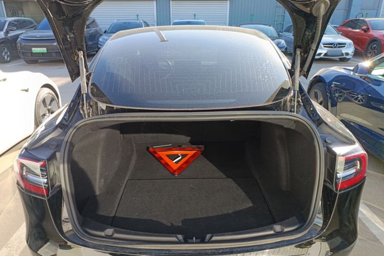 Used Tesla Model 3 (Import) 2019 Long-Range Rear-Wheel-Drive Version
