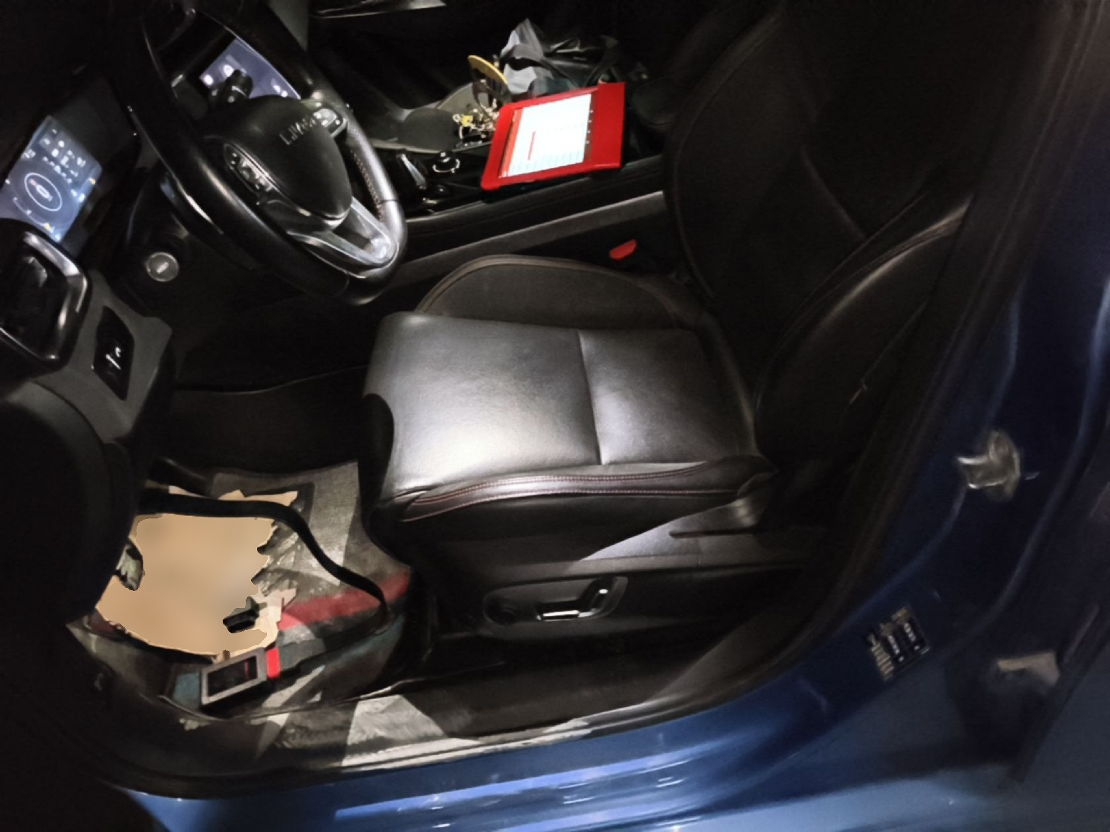 Interior delantero