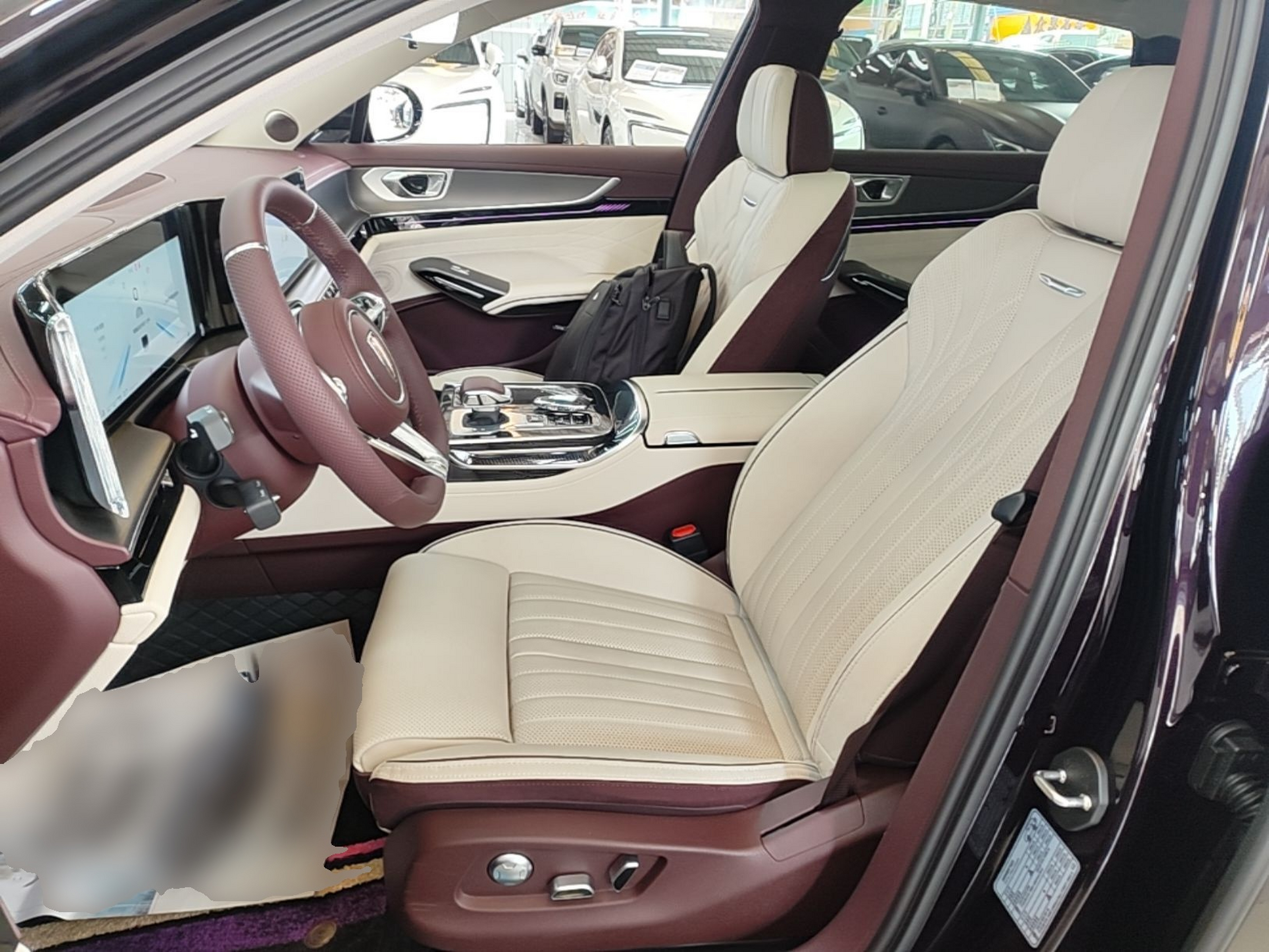Interior delantero