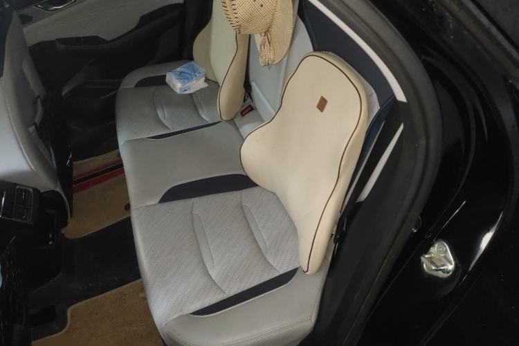 Used Geely Auto Preface 2021 2.0TD Luxury Version Left Rear Seat