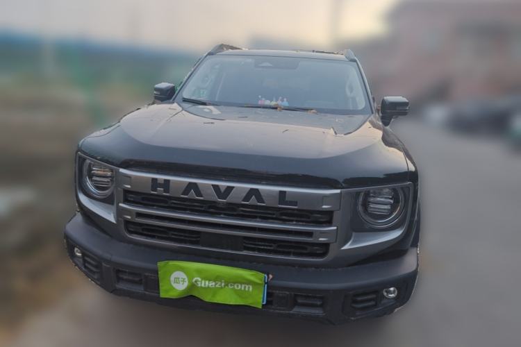 Used Haval DARGO 2024 2.0T DCT Chinese Rural Dog Edition
