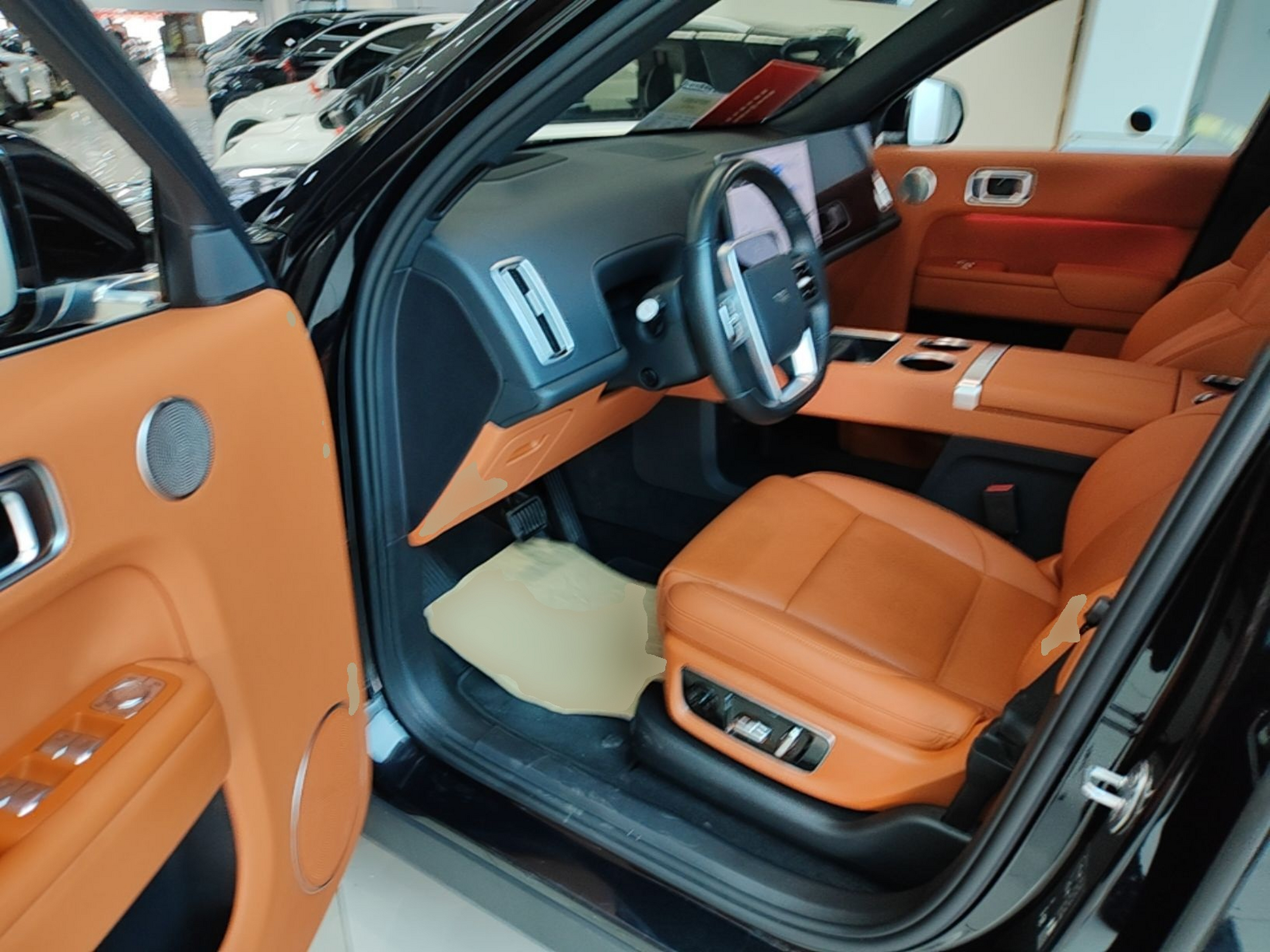 Interior delantero