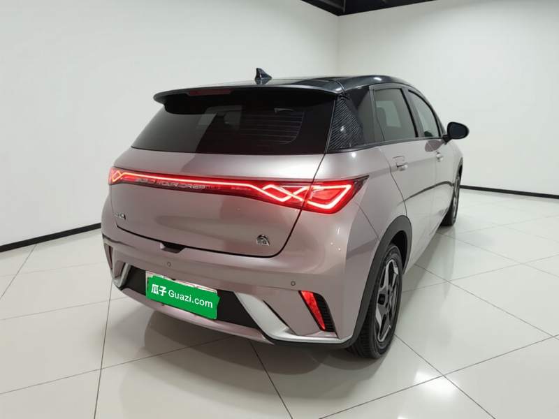 Used BYD Dolphin 2021 405 km Fashion Edition — 6