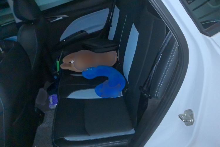 Used NETA V 2021 Long-Range Entertainment Edition Left Rear Seat