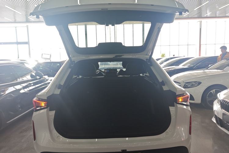 Used Livan Livan 7 2024 605 km Glory Edition