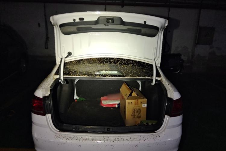 Used Volkswagen Lavida 2015 1.6L Automatic Fashion Edition Trunk