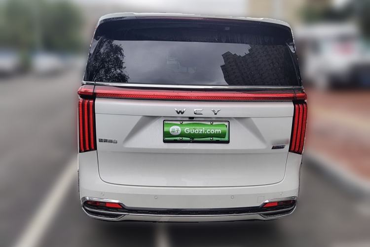 Used Wey Gaoshan 2023 Four-Wheel Drive Flagship Edition
