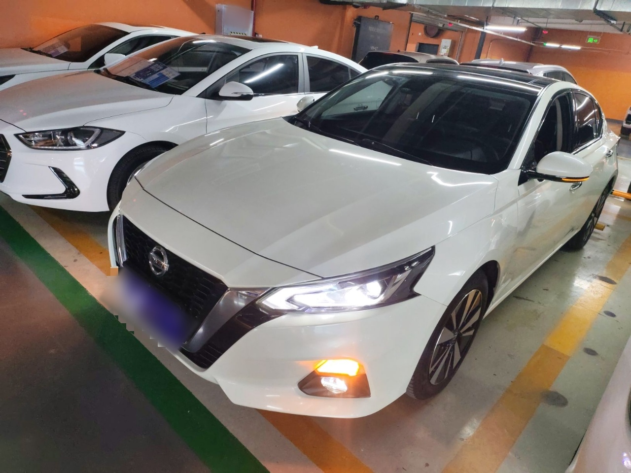 تحت مقدمة السيارة