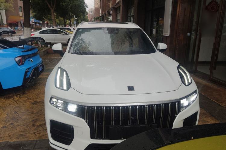 Used Lynk & Co 09 EM-P 2023 2.0TD EM-P Four-Wheel Drive Asian Games Executive Edition Five Seats