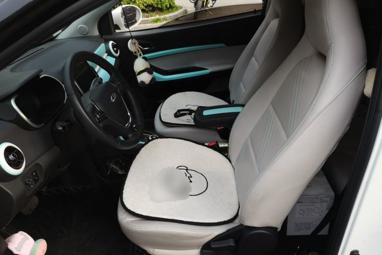 Used Chery QQ Little Ant 2021 200 000-Yuan Ant Fan Edition Talent Version NMC Battery 408 km续航 Left Front Seat