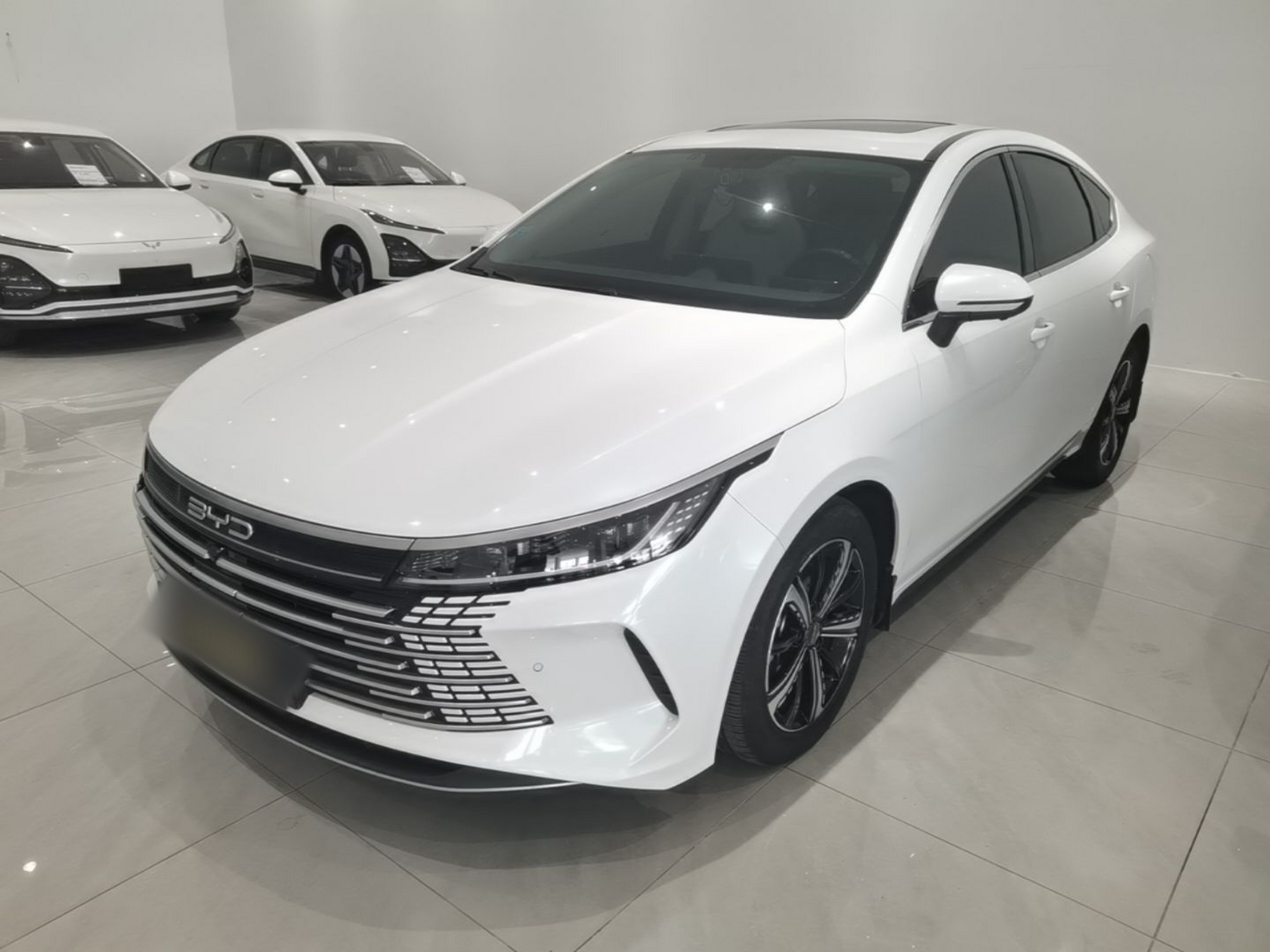 Under Front Bumper