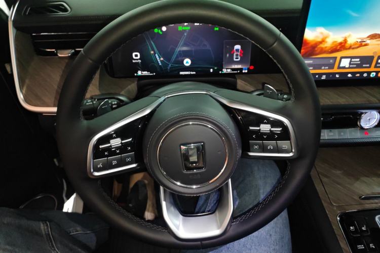 Used Tank 500 New Energy 2024 Hi4-T
