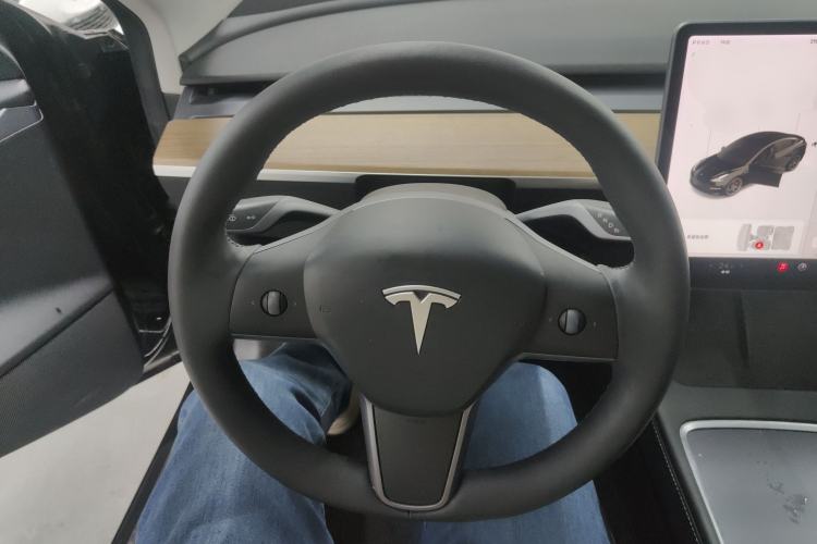 Used Tesla Model 3 2021 Performance High-Performance All-Wheel-Drive Version 3D6
