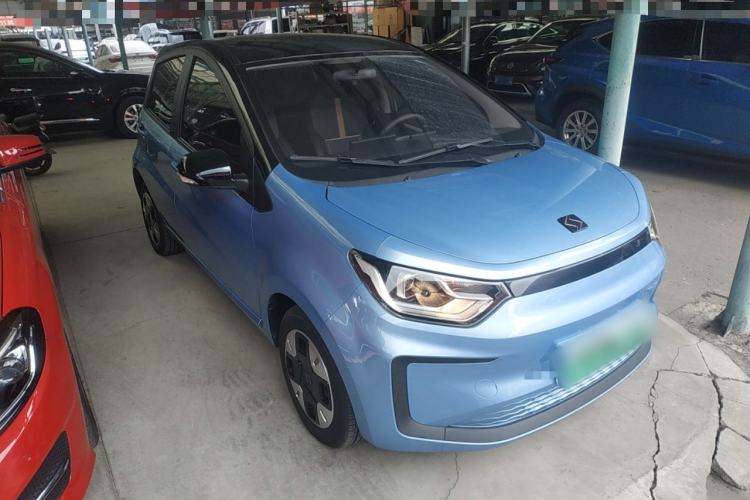 Used SOL E10X 2022 Flower Fairy Design Four-Leaf Clover