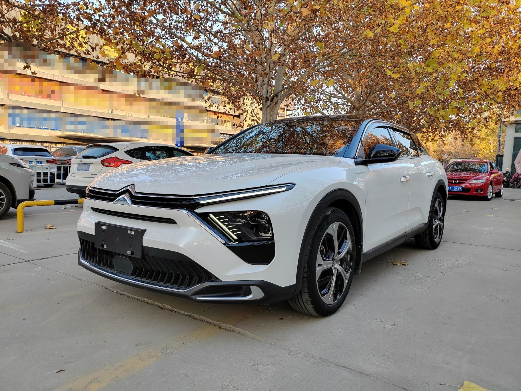 تحت مقدمة السيارة