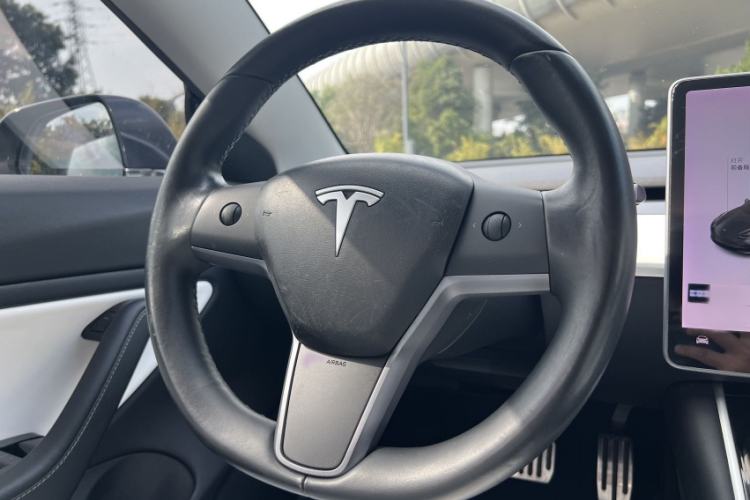 Used Tesla Model 3 (Import) 2019 Long-Range Rear-Wheel-Drive Version