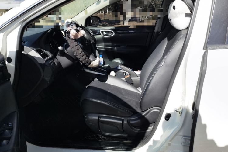 Used Nissan Sylphy 2019 1.6XV CVT Smart Connect Luxury Edition China VI Standard