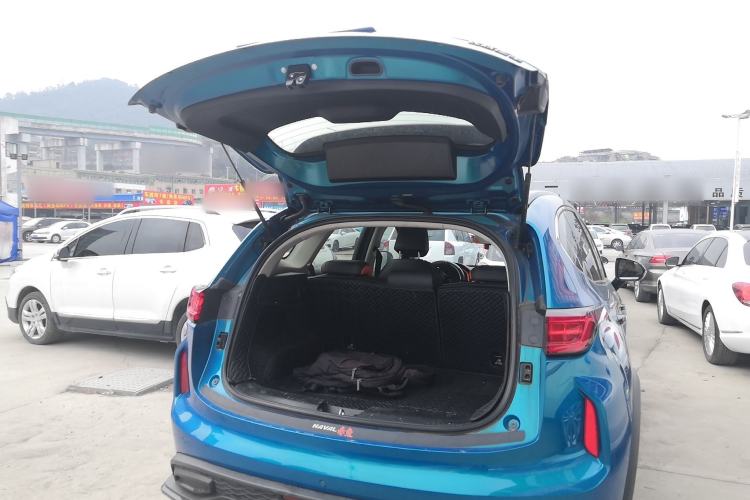 Used Haval LHERY 2021 High-Performance Version 1.5T Golden Rabbit
