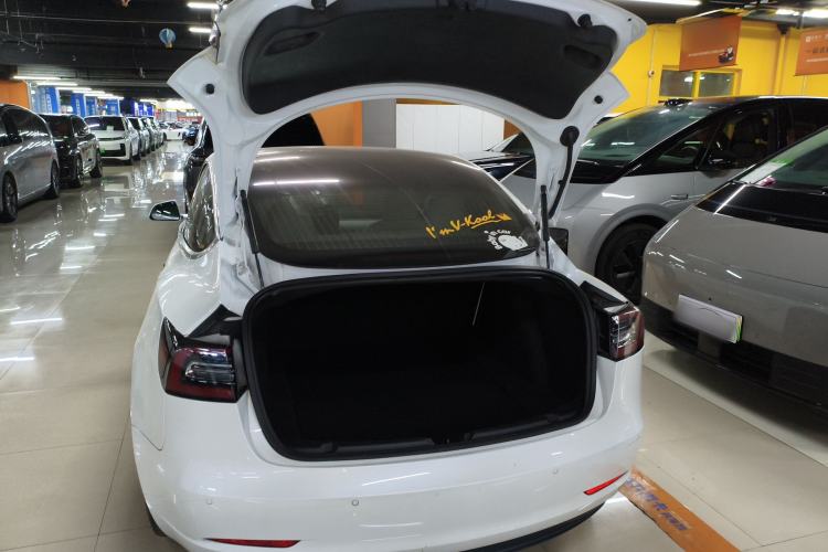 Used Tesla Model 3 2019 Long-Range All-Wheel-Drive Version
