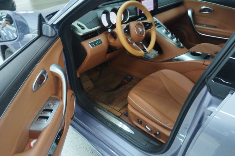 Used ORA Lightning Cat 2022 555 km Luxury Edition