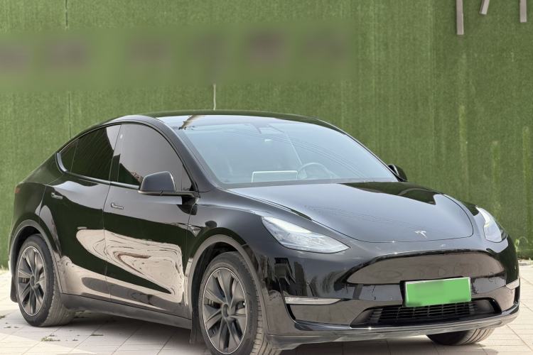 Used Tesla Model Y 2021 Standard Range Rear-Wheel Drive Version
