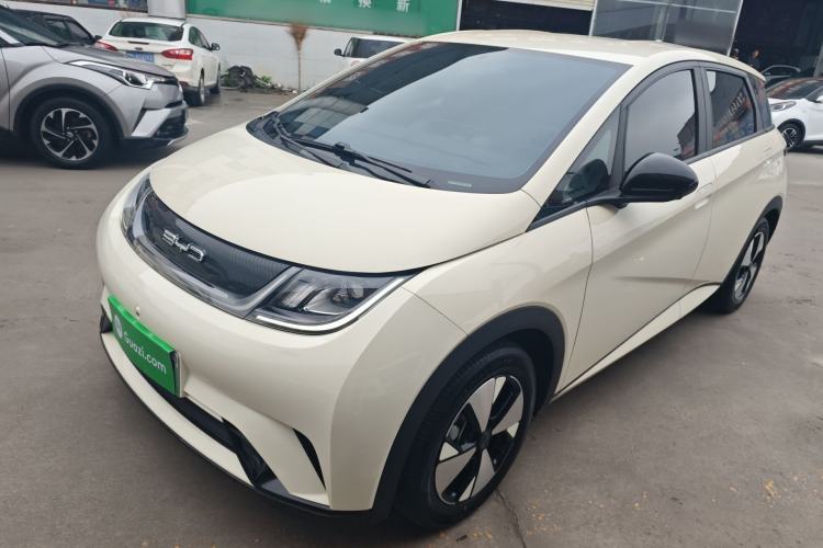 Used BYD Dolphin 2023 420 km Free Version