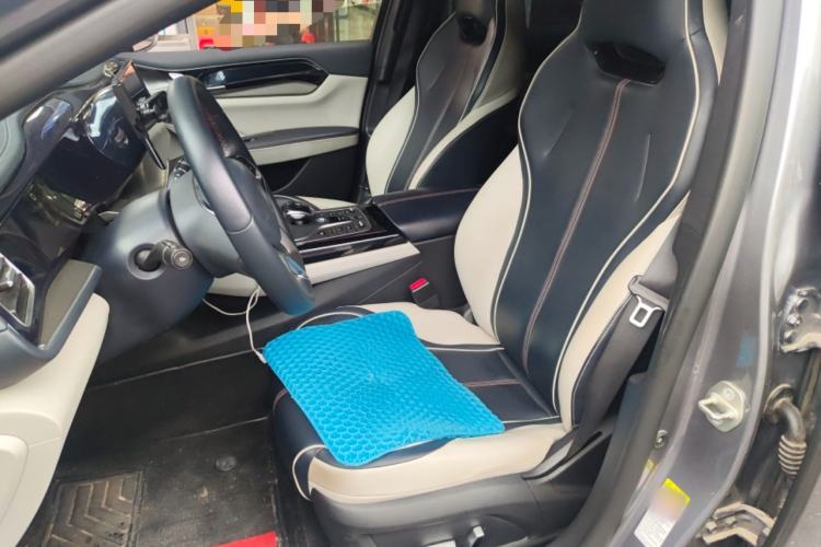 Used BYD Qin PLUS 2021 EV 500KM Luxury Model Left Front Seat