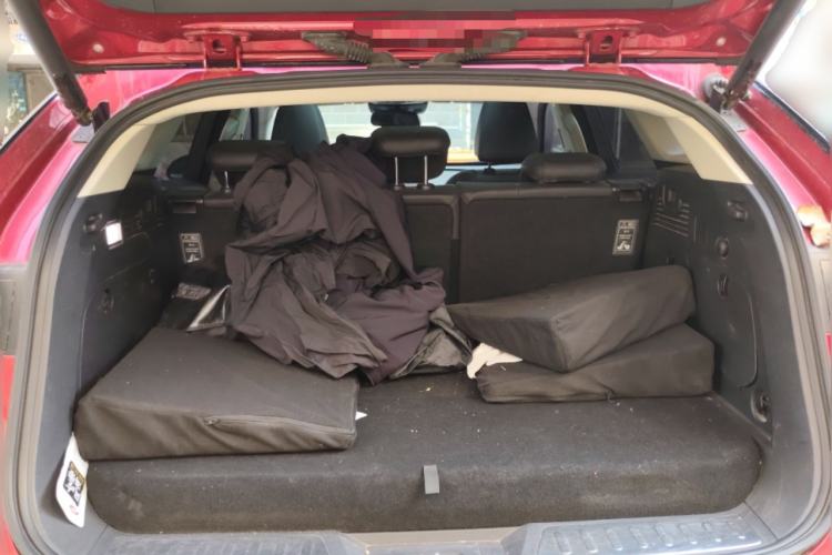 Used Wey P8 2018 2.0T Premium Edition
